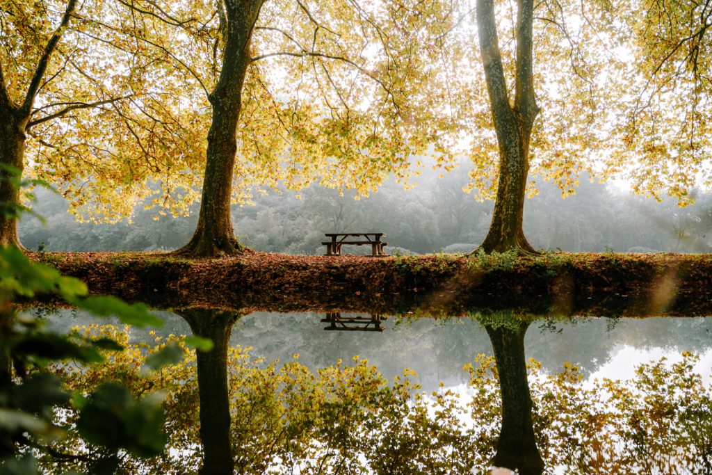 A bench sitting next to a lake with yellowing leaves on trees reminding us to prayer a short prayer for the approaching Autumn.
